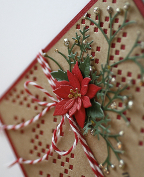 PamSparksSmallPoinsettiaMiddle