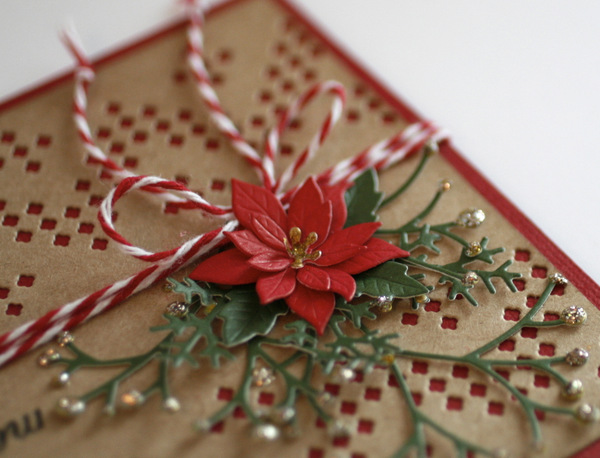 PamSparksSmallPoinsettiaTop