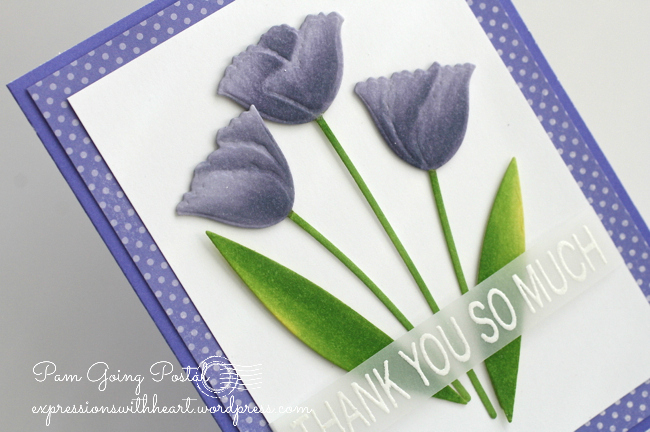 PamSparksTulipStemsClose