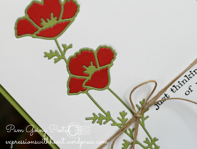 PamSparksDarlingPoppiesClose