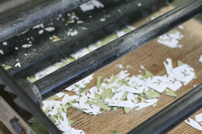 PamSparksGYSEcutting2