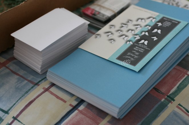 PamSparksGYSEcutting5