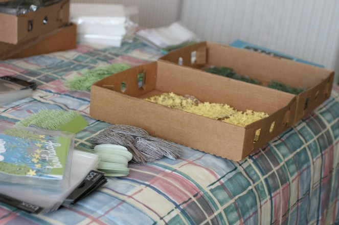 PamSparksGYSEcutting6