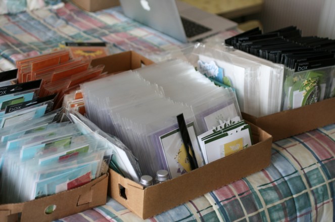 PamSparksGYSEcutting9