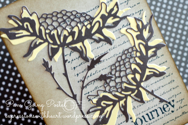 PamSparksBountifulSunflowerClose