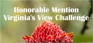 Panama-322 - Copy - Copy - Copy