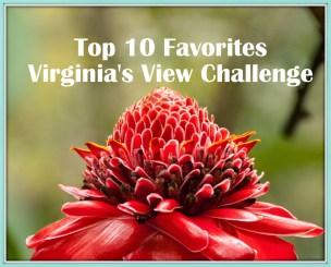 Panama-322 - Copy - Copy-001