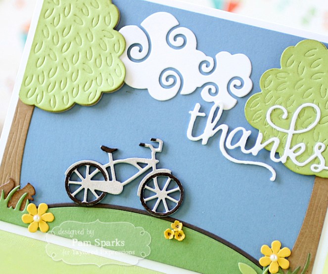 PamSparksOnTheLineBikeClose