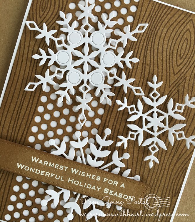 Pam Sparks SSS kraft snowflakes Close