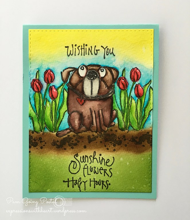 Pam Sparks Winston Sunshine