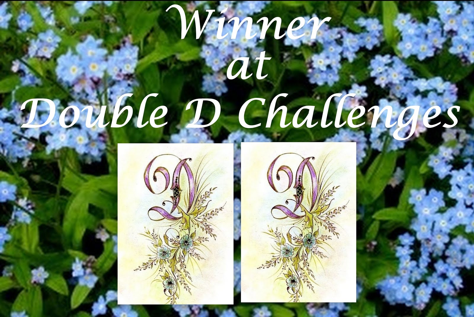 Double D Challenge Winner